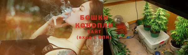 тгк Козельск