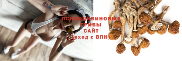 тгк Козельск