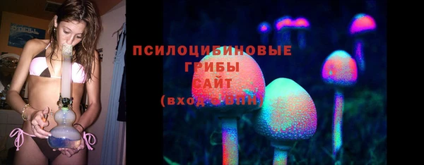 тгк Козельск