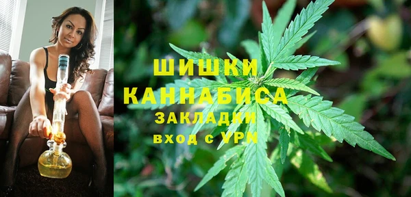 тгк Козельск