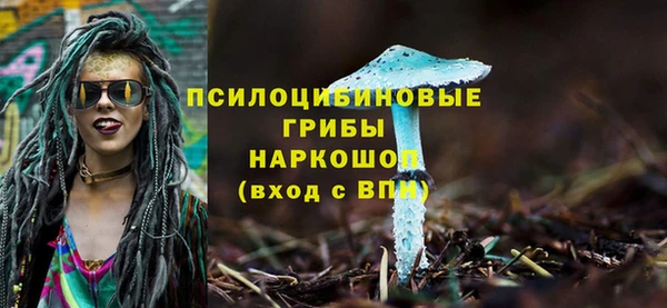 герыч Козловка