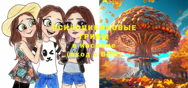 герыч Козловка