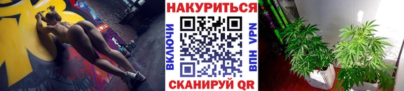Купить  Бородино  Каннабис Ganja 